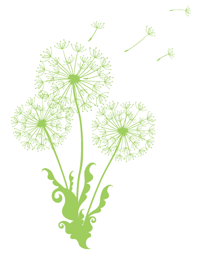 Green dandelion illustration